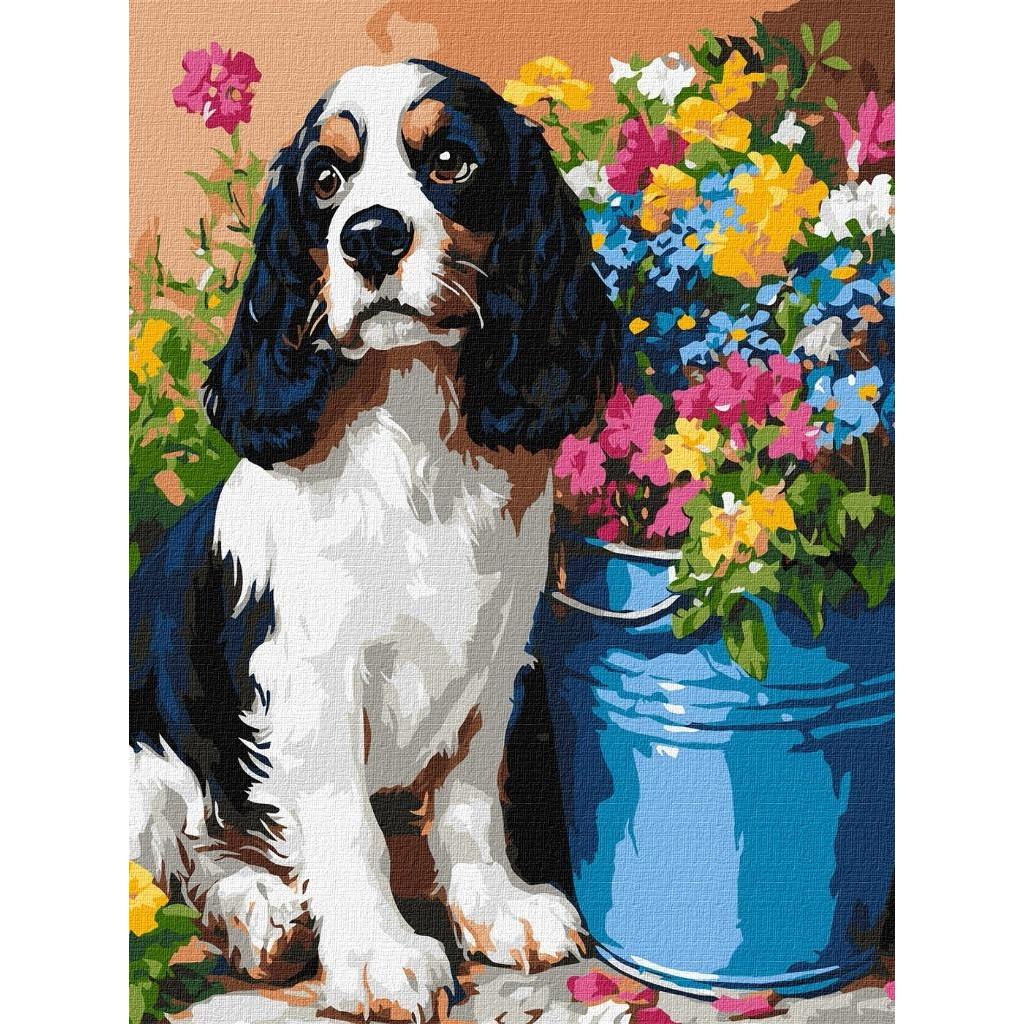 Ideyka Malen nach Zahlen - Entzückender Spaniel (57317972)