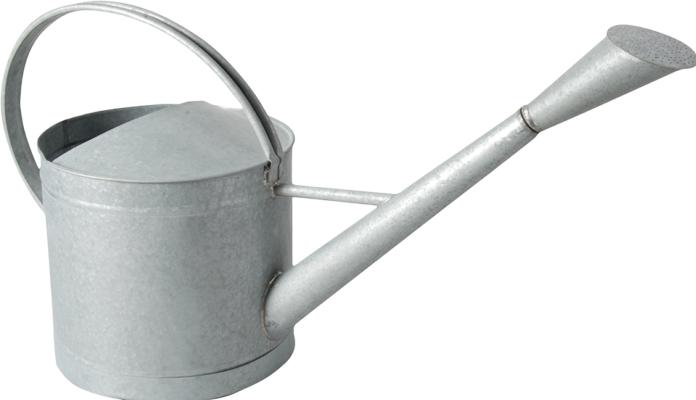 Image du produit Esschert Design Arrosoir (9 l)