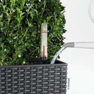 Immagine prodotto Lechuza Cubico Cottage (29.50 cm)