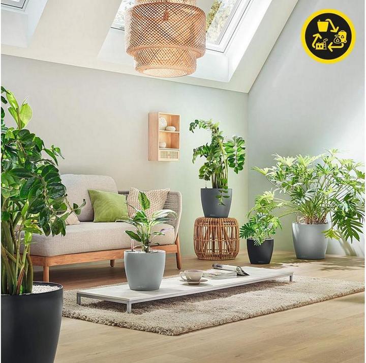 Produktbild Lechuza CLASSICO Color Eco 21 Komplettset Dunkelgrau/Grau (22 x 21.50 x 20.50 cm)