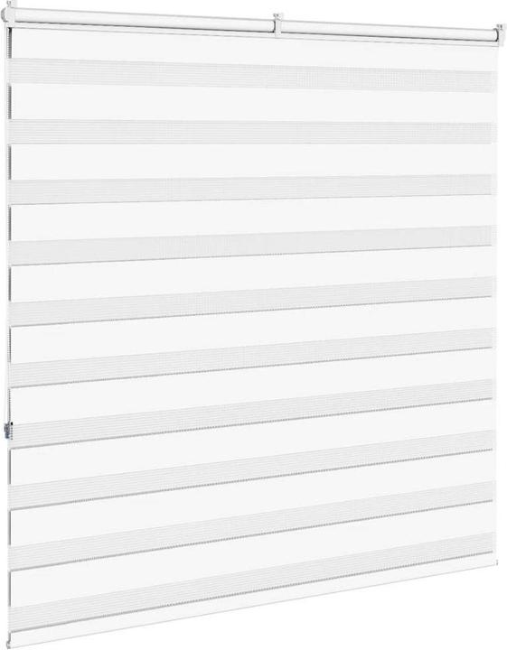 Produktbild vidaXL Zebra-Jalousie (145 x 150 cm)