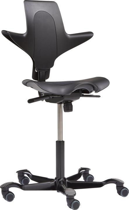 Produktbild HAG Capisco Puls