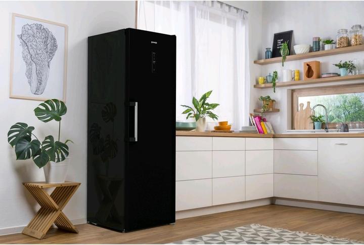 Image du produit Gorenje R 619 DABK6-CH Noir (398 l)