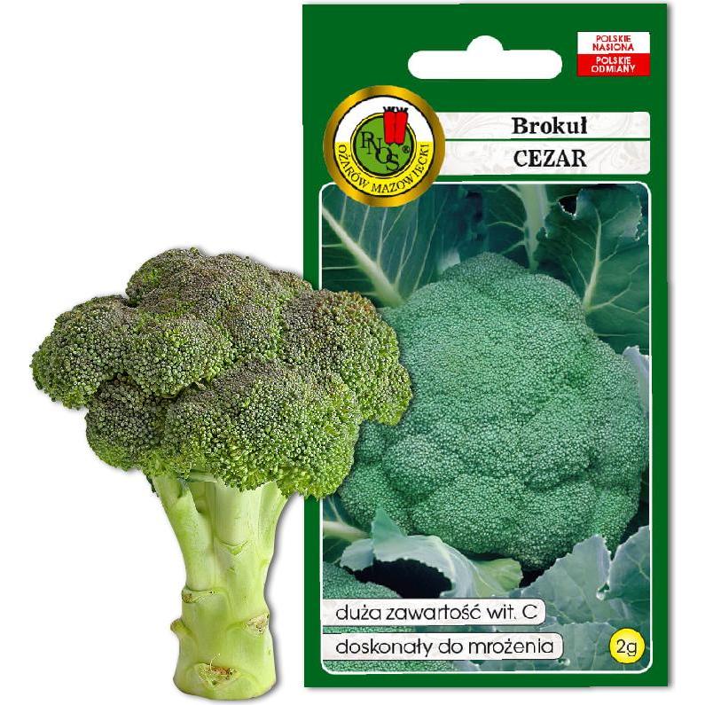 Apte, Semi, PNOS Nasiona warzyw Brokuł Cezar Opakowanie 2g (Semi di verdura)