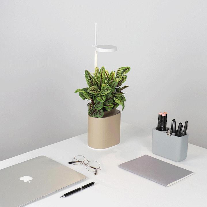 Actual product image Prêt à Pousser Herb Pot Nano, Sand Grey (13.50 cm)