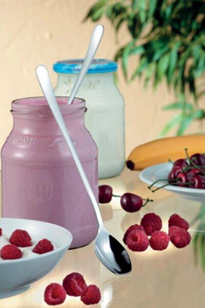 Actual product image Esmeyer Long-handled spoon Sylvia 12pcs stainless steel (12 Piece, Scoops)