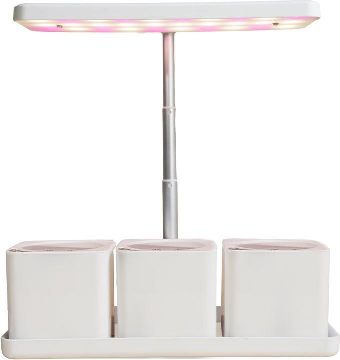 Enne Interior Ark Grow Light and Self-Watering Tray (LED)