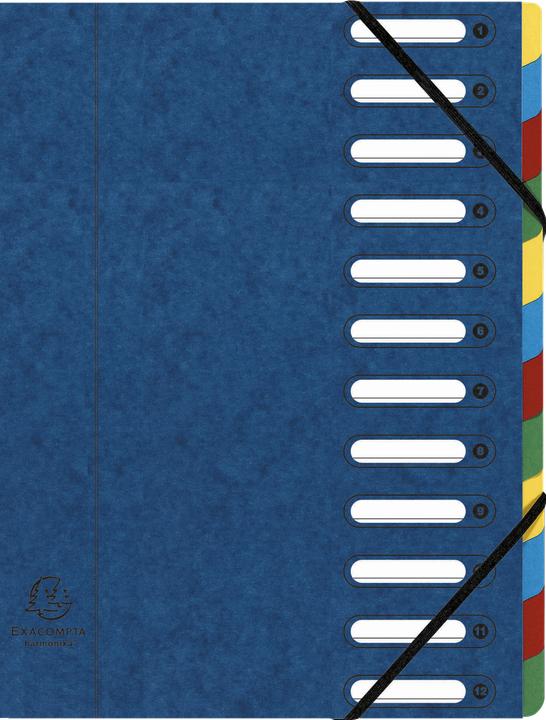 Produktbild Exacompta HARMONIKA - Ordnungsmappen A4 (A4, 1x)