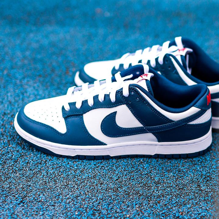 Image du produit Nike Dunk Low (41)
