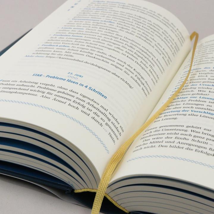 Produktbild Die Karriere-Bibel (Deutsch, Jochen Mai, 2018)