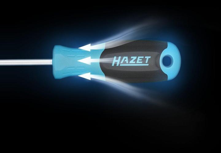 Actual product image HAZET Schraubendreher 811LG-55 ∙ Slot profile ∙ SW 1 x 5,5 mm