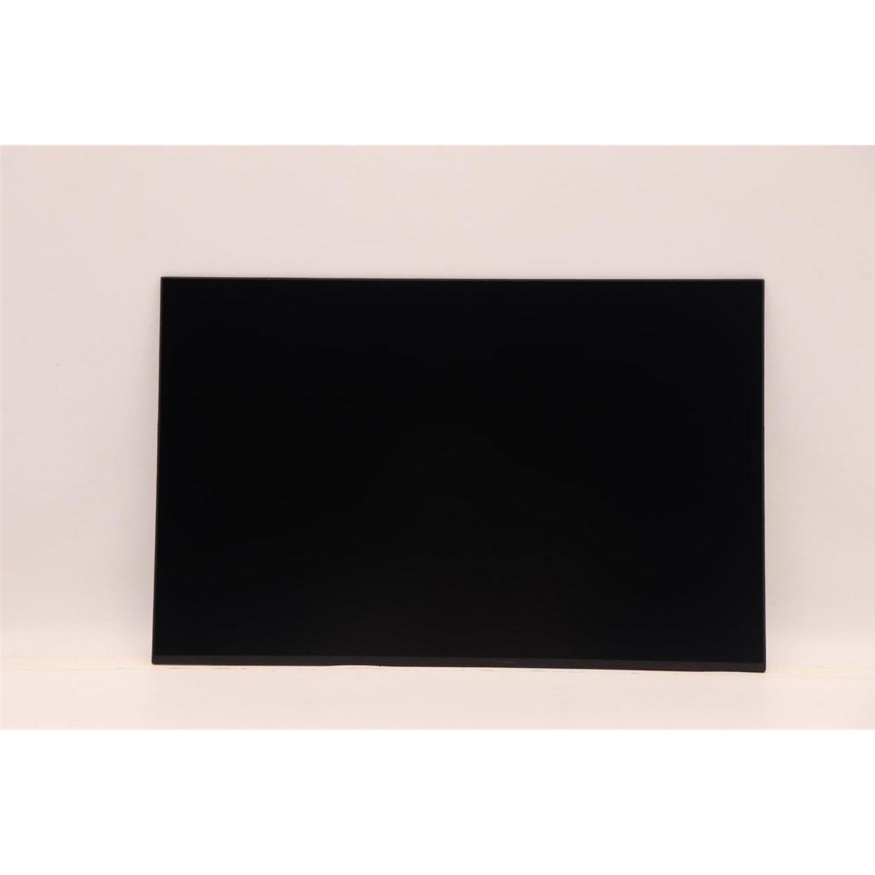 Lenovo DISPLAY FRU CSO MNG007JA1-4, Notebook Ersatzteile