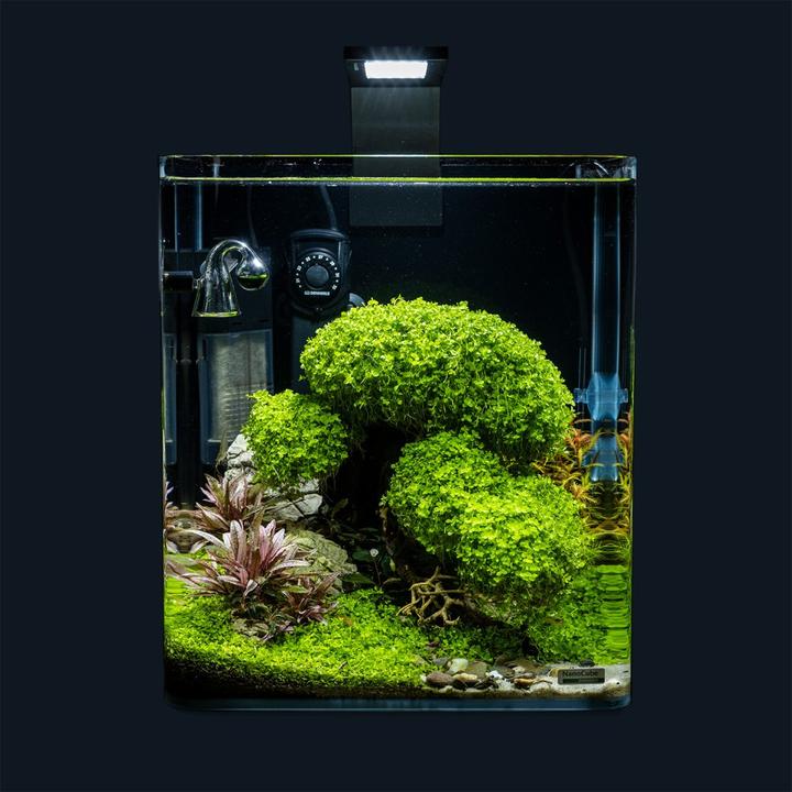 Produktbild Dennerle Bonsai Box (Dekoration, Baum)