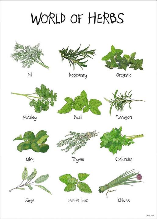 Image du produit Poster & Frame Printart (29.70 x 42 cm)