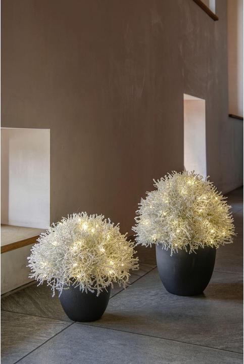 Actual product image STT Calo 27