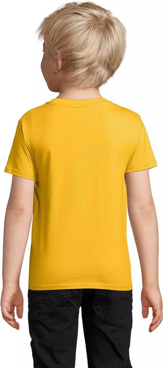 Produktbild Sol's Pioneer