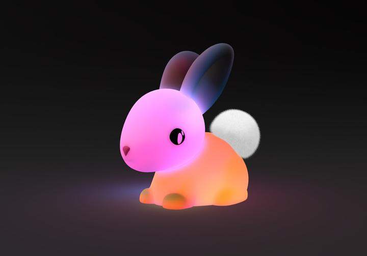 Image du produit Dhink Medium Nightlight Bunny Soft Touch