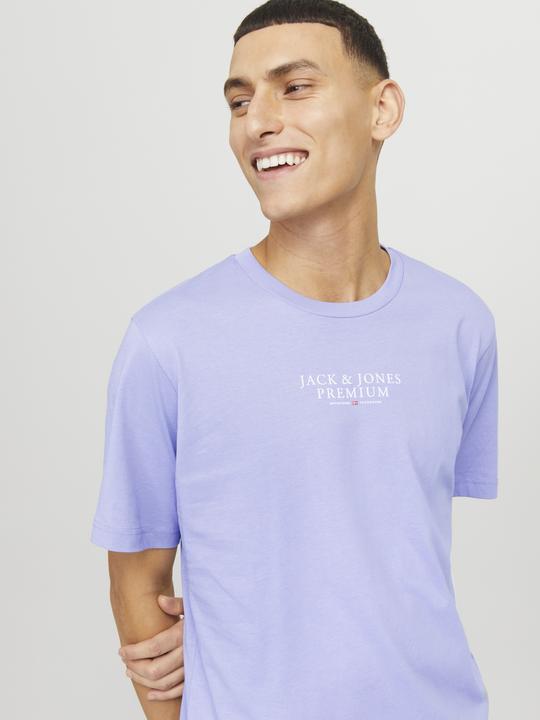 Produktbild Jack & Jones Jprbluarchie Ss Tee Crew Neck Noos (XS)