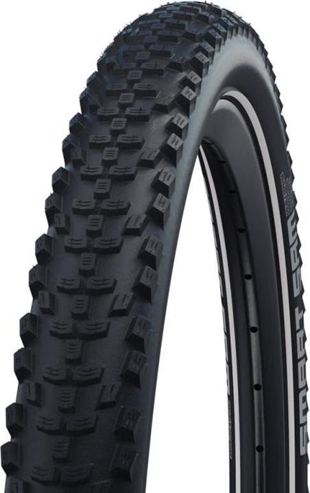 Schwalbe Smart Sam