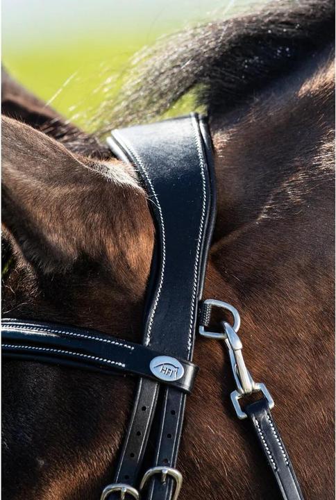 Produktbild HFI Master Techno