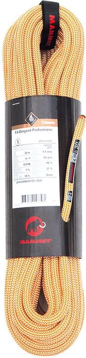 Actual product image Mammut Mountain Time Performance 9.6 Climbing Rope (40 m)