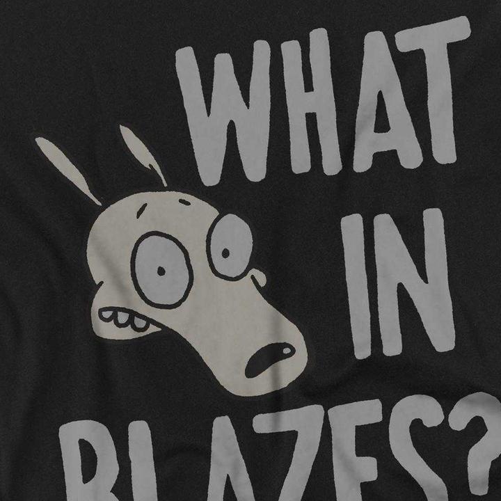 Produktbild Rocko´s Modern Life What In Blazes? TShirt (XXL)