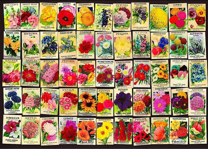 Image du produit D-Toys Puzzle 1000 fleurs (1000 pièces)