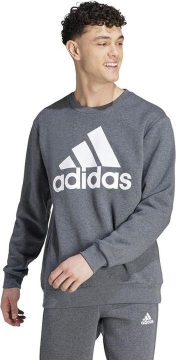 Produktbild Adidas Herren Sweater ohne Kapuze Bl Fl Grau (S)
