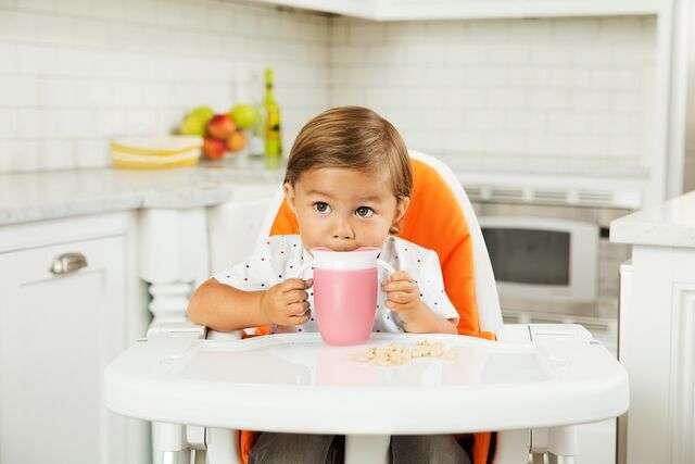 Actual product image Munchkin Trainer Cup