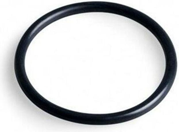 Produktbild Pentair Dichtung Pumpendeckel Starite Duraglas 5P2R ref RU9229