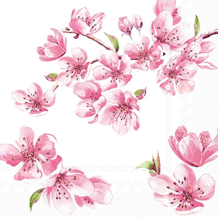 Image du produit IHR Sakura Rose (20 pcs, 33 x 33 cm)