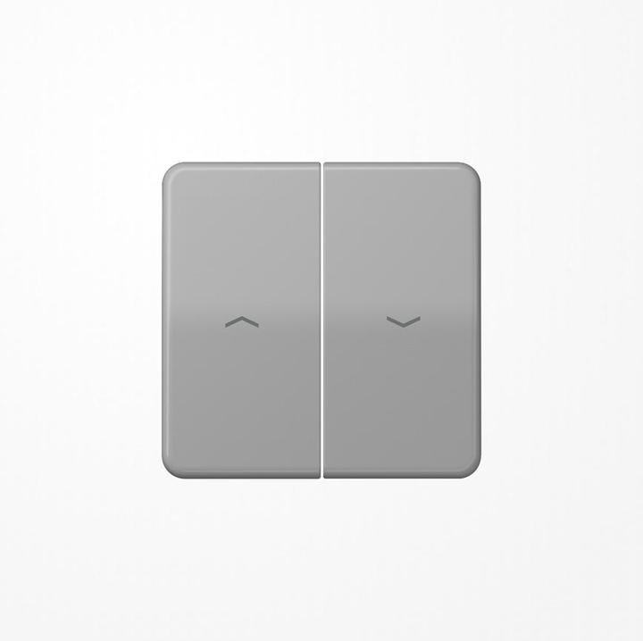 Actual product image JUNG Rocker 2t Shutter CD gr glz Arrows CD595PGR