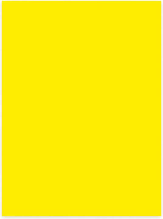 Image du produit Elco Couleur (A4, 100 feuilles, 80 g/m²)