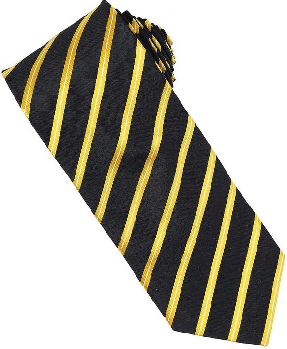 Image du produit Premier - Cravate