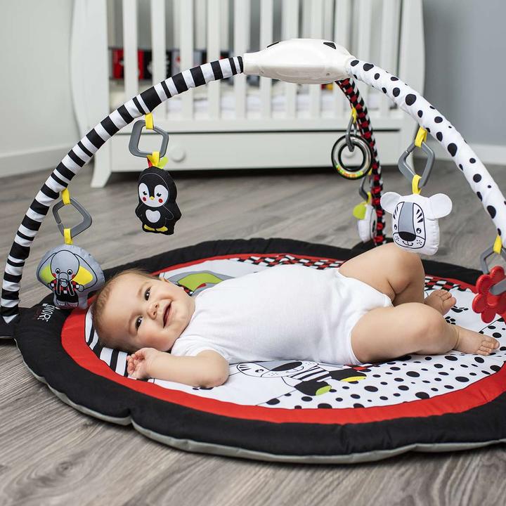 Image du produit Babyono Tapis d'apprentissage, C-MORE, 516