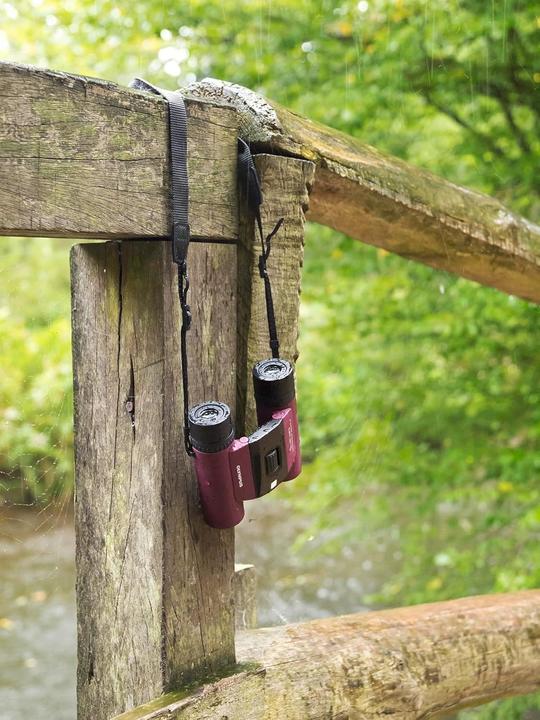 Actual product image Olympus OM System 8x25 WP II Deep Purple (8 x, 25 mm)