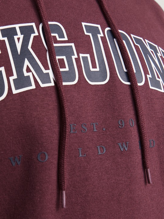 Produktbild Jack & Jones Jjecaleb Varsity Sweat Hood Noos Pls (XXL)
