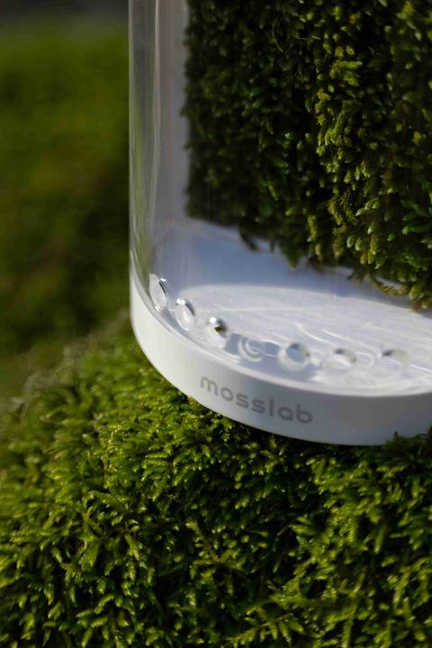 Actual product image Mosslab Air Humidifier Moss white