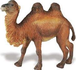 Immagine prodotto Safari Cammello