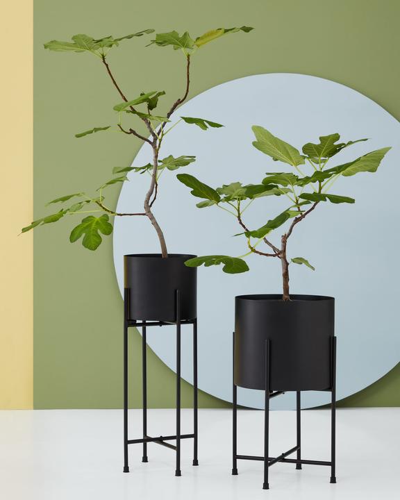 Produktbild micasa Elea