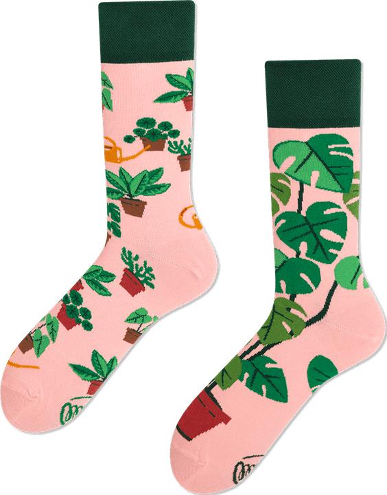 Immagine prodotto Many Mornings Amante delle piante (Confezione singola, 39 - 42)