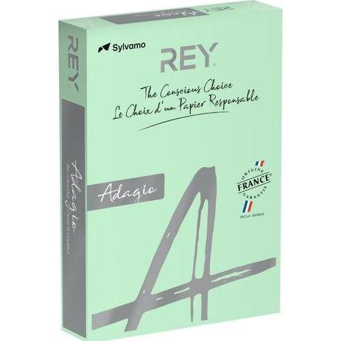Rey, Kopierpapier, Farbiges Papier RYADA160X418 Pastellgrün 160 g/qm (160 g/m², 250 x, A4)