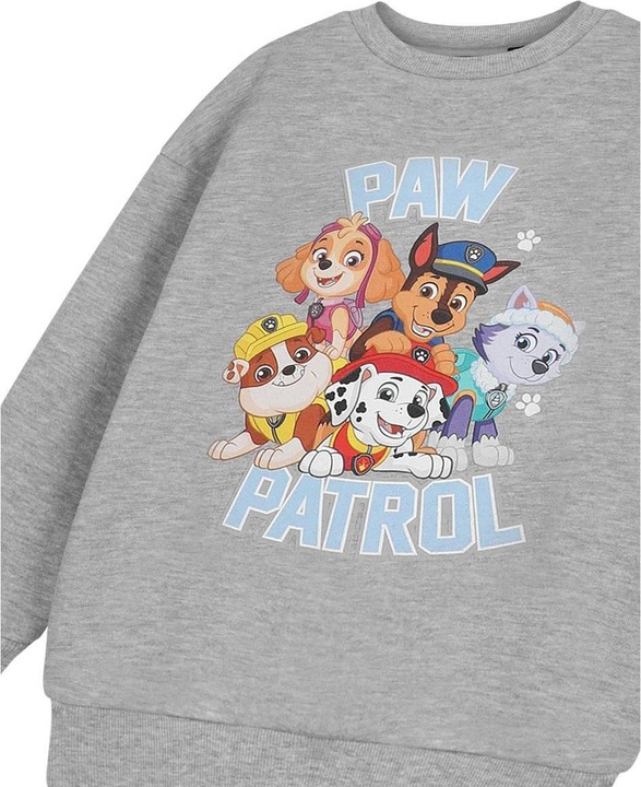 Actual product image Paw Patrol Childrens/Kids Collegiate Sweatshirt (104)