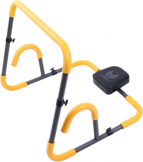 Gyronetics Ab Roller