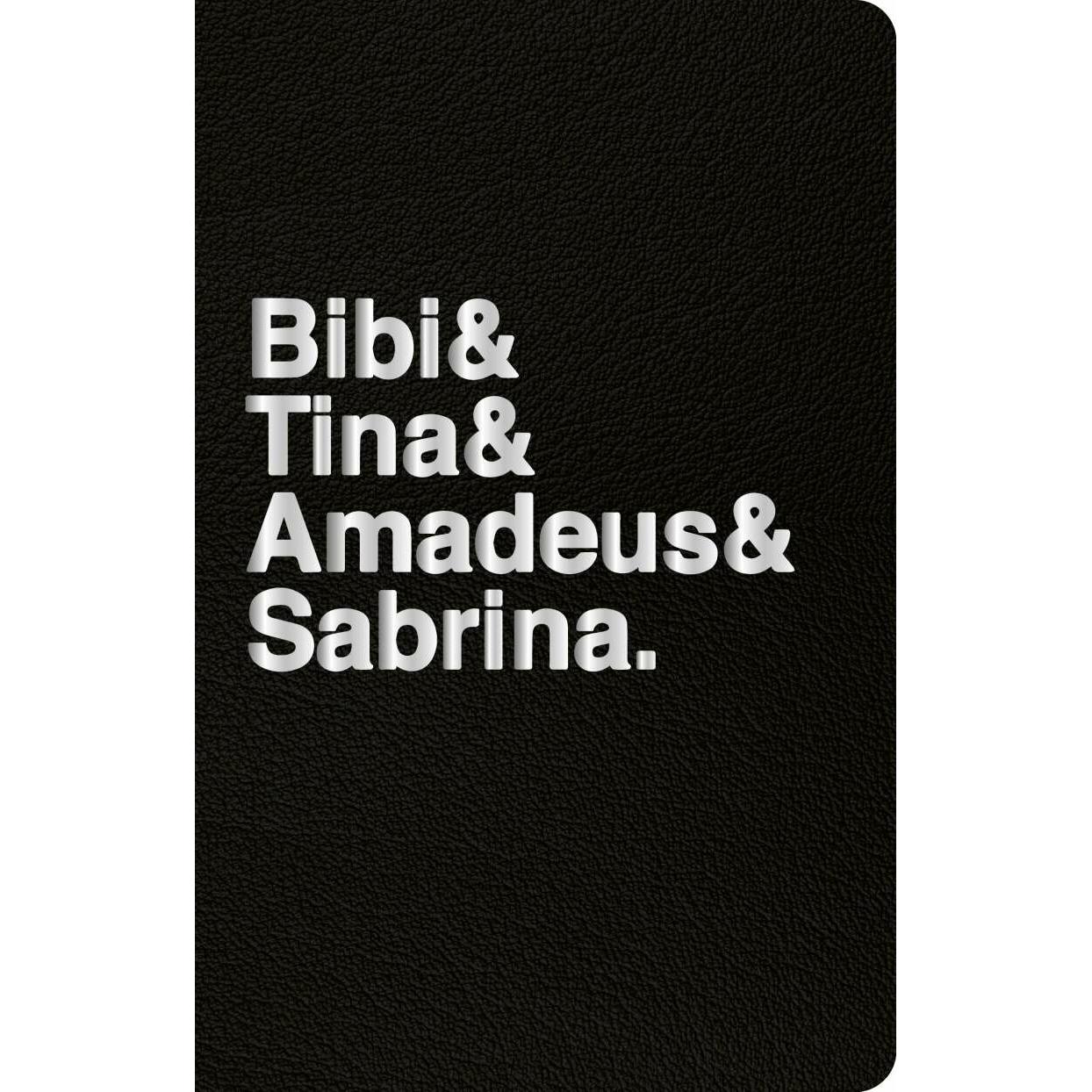 Bibi & Tina & Amadeus & Sabrina, Ratgeber