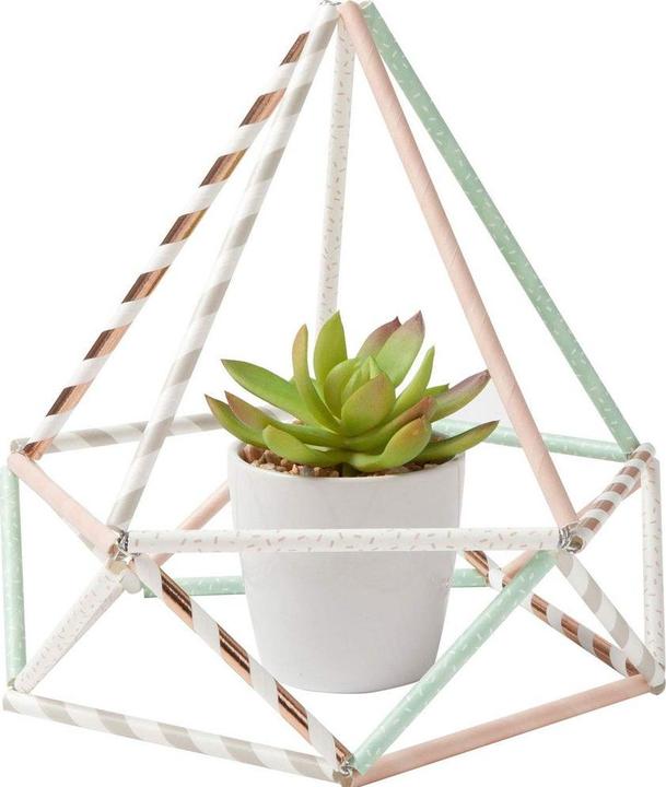 Produktbild Folia Strohhalme (25 x)