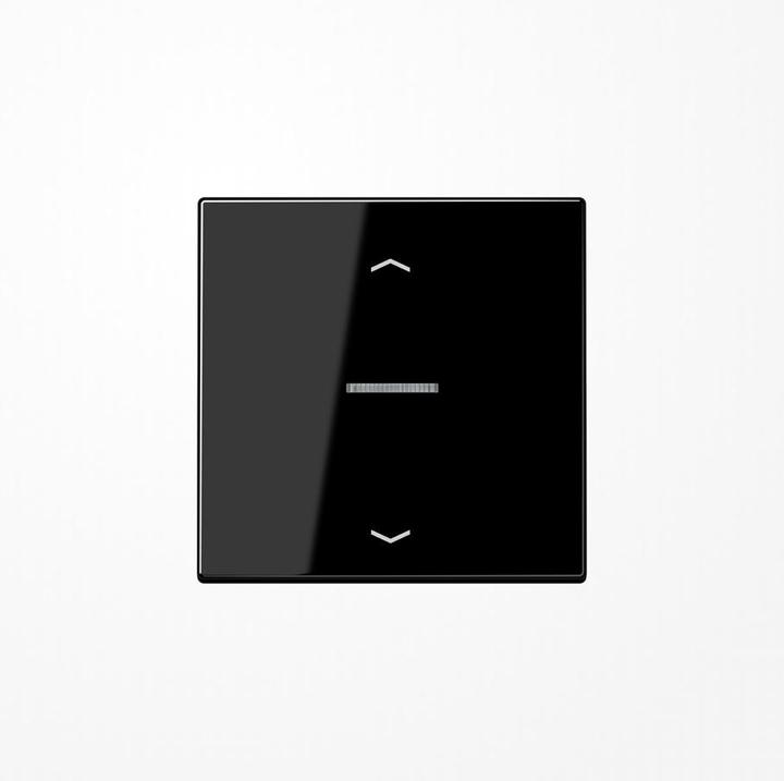Image du produit JUNG BTLS17101PSW HOME Bouton-poussoir simple