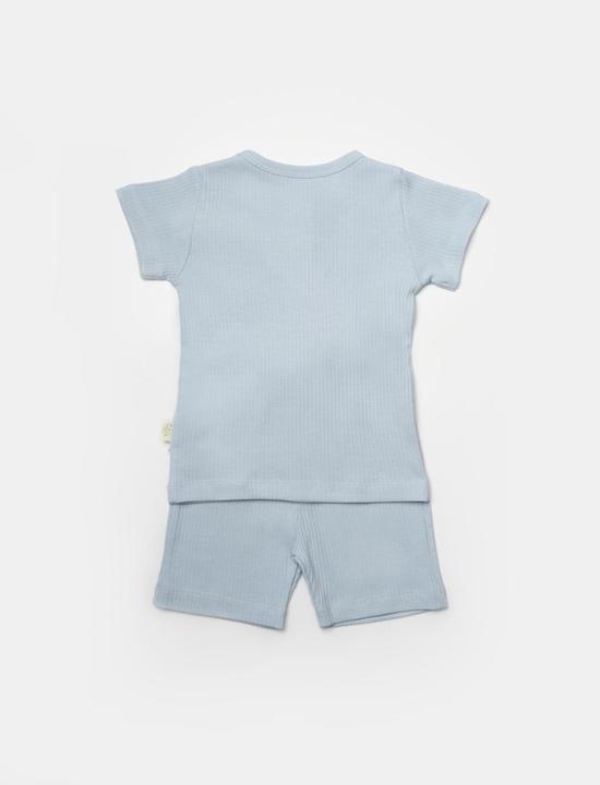 Actual product image BabyCosy Shorts & T-shirt Set (74)