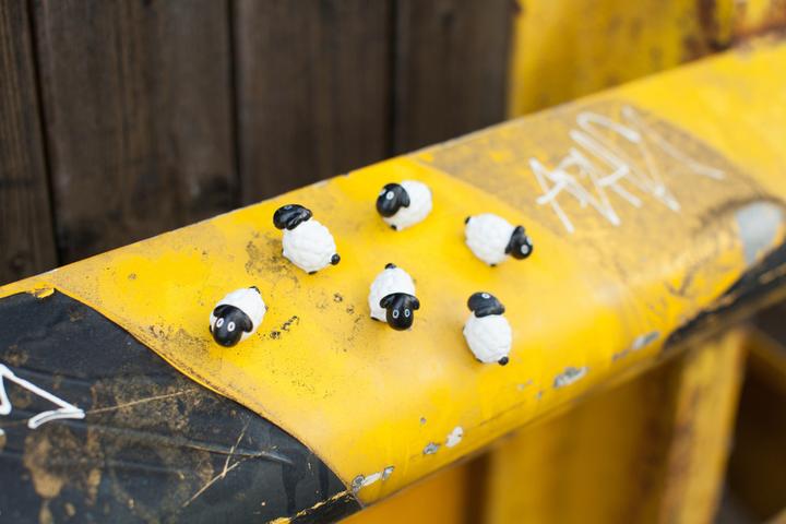 Image du produit Trendform Moutons (6 x)