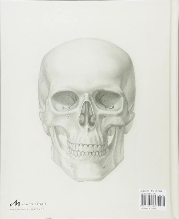 Produktbild Basic Human Anatomy (Englisch, Roberto Osti, 2022)